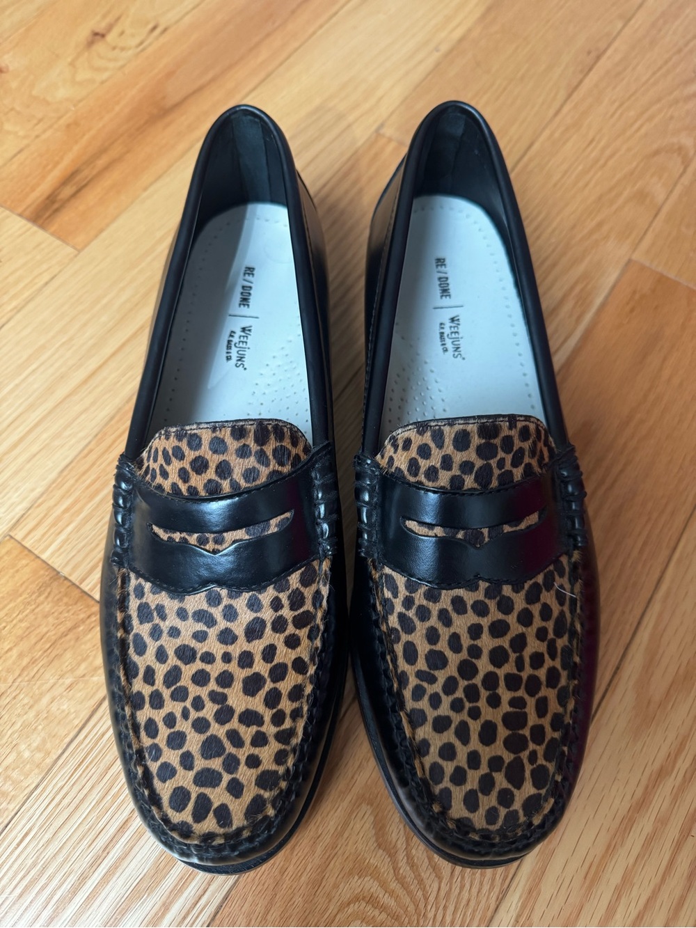 Leopard Print ponyhair Penny Loafers in Black and Brown